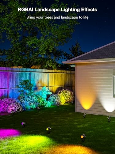 Backyard with colorful RGB landscape lighting on trees and house.